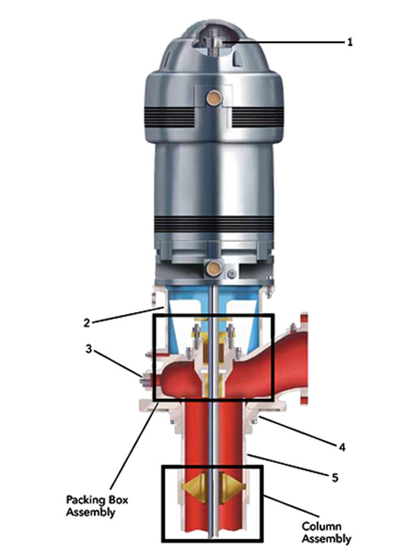 bel-2