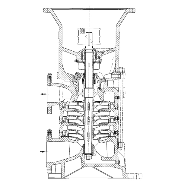 bpv-3