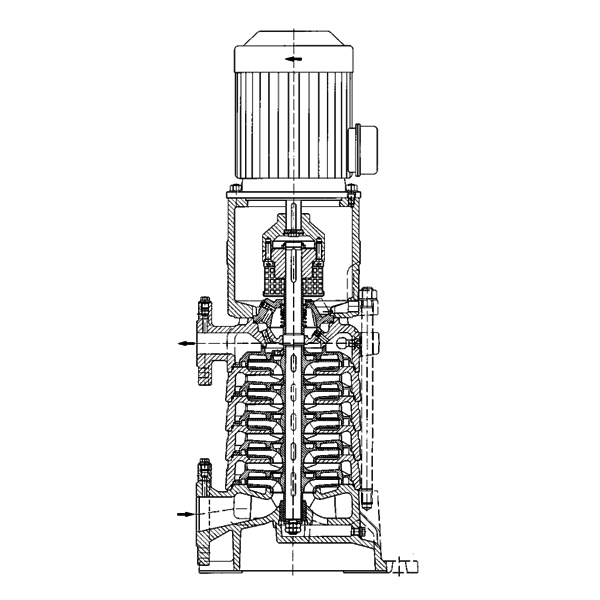 bpv-2