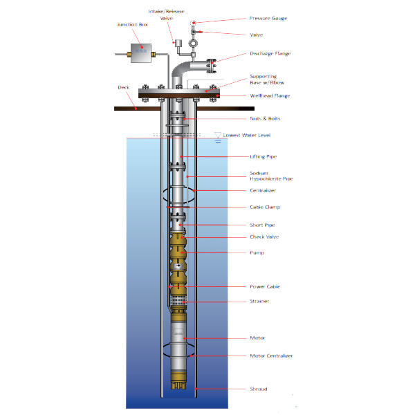 Seawater Submersible Pump  Schematic Diagram