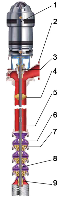 BEL-4-6