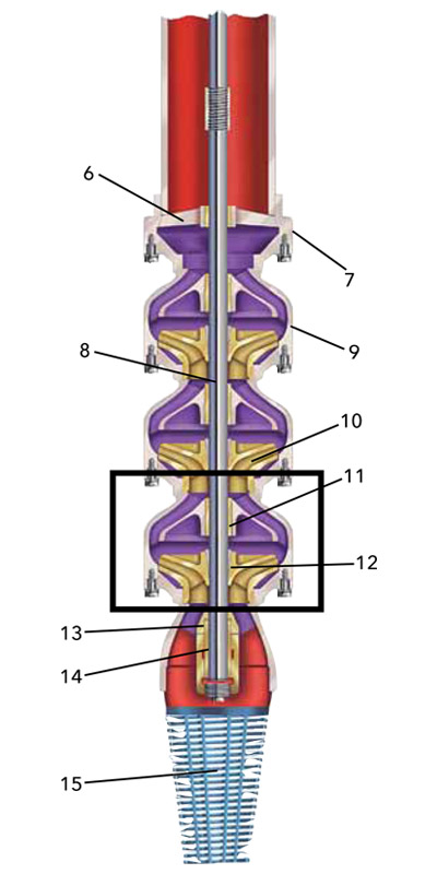 BEL-4